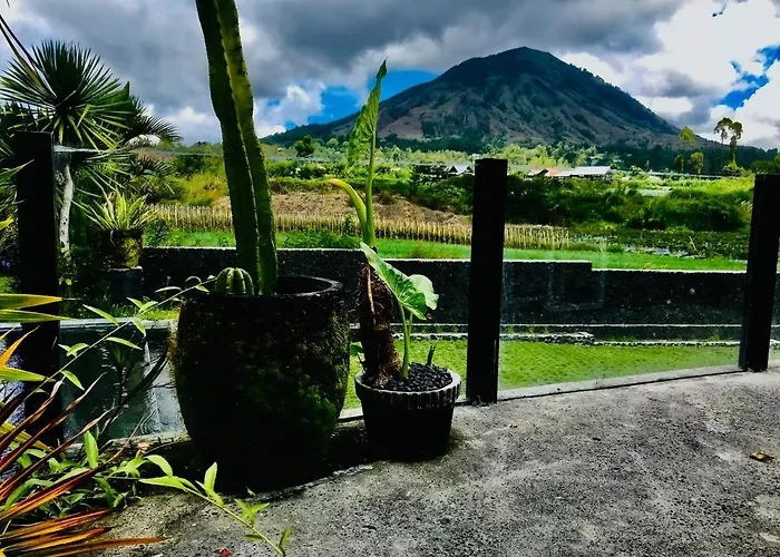 ベッド・アンド・ブレックファスト Batur Panorama Kintamani