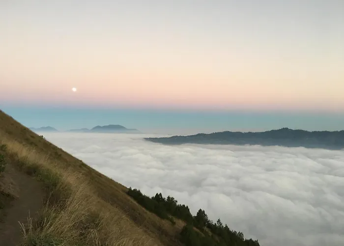 Batur Panorama Bed & Breakfast